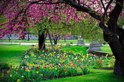 “Le Jardin enchanté” : Une explosion de couleurs vibrantes et de détails minutieux!